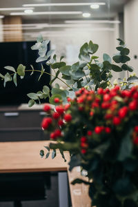 Close-up of red flower pot on potted plant