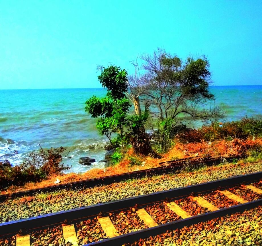 water, sea, horizon over water, clear sky, tree, tranquil scene, scenics, tranquility, beauty in nature, blue, nature, copy space, beach, idyllic, sky, shore, high angle view, growth, railing, coastline