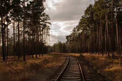 Railroad track amidst trees against sky