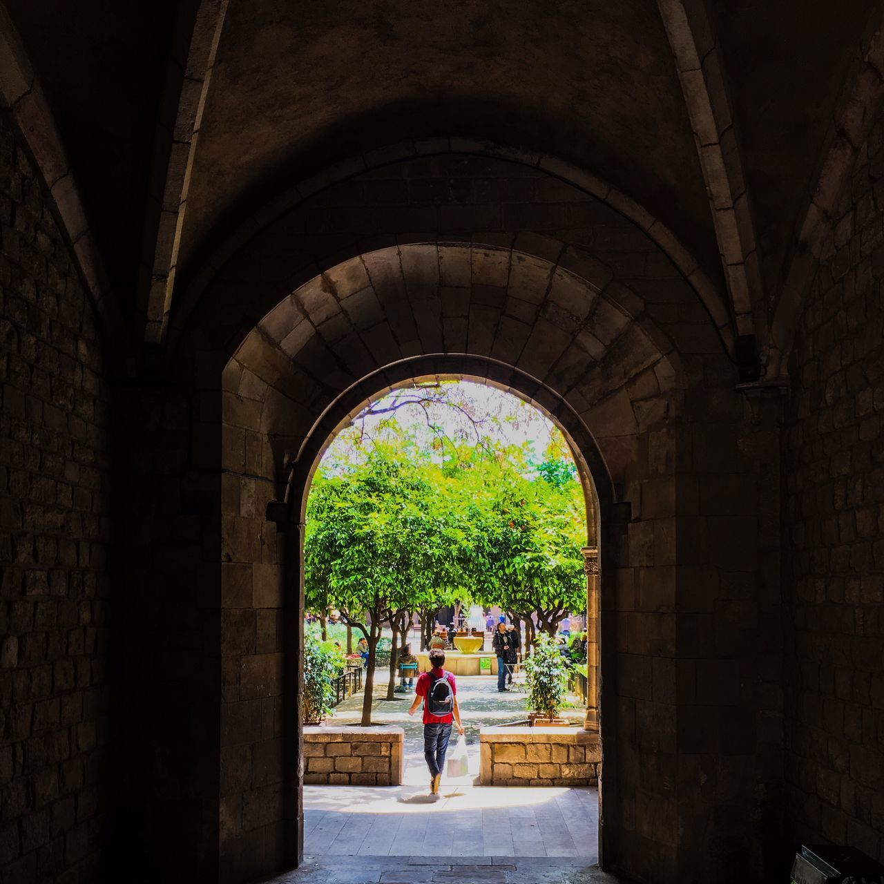 tree, lifestyles, arch, men, leisure activity, person, full length, architecture, walking, built structure, park - man made space, indoors, rear view, archway, green color, growth, day