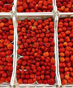 Close-up of fruits for sale in market