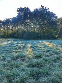 Scenic view of land against clear sky