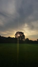 Silhouette trees on field against sky at sunset