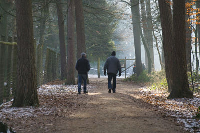 Rear view of people walking on footpath amidst trees in forest