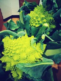 Close-up of yellow flowers