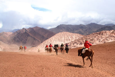 Group of people riding horses on land