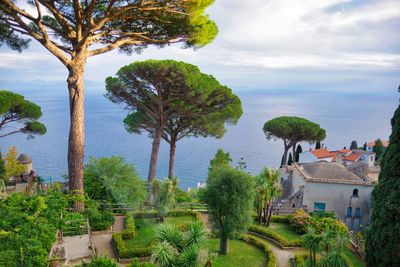 Scenic view of sea by trees against sky