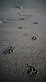 Close-up of wet sand on beach