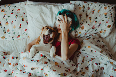 High angle view of dog relaxing on bed