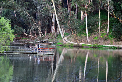 Scenic view of lake in forest