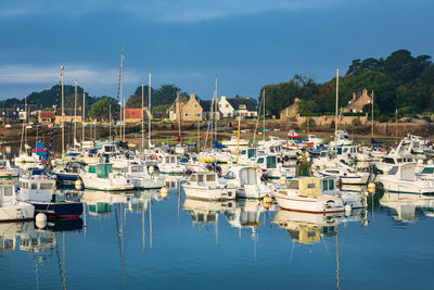 Boats moored in harbor