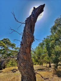 Statue of tree against sky