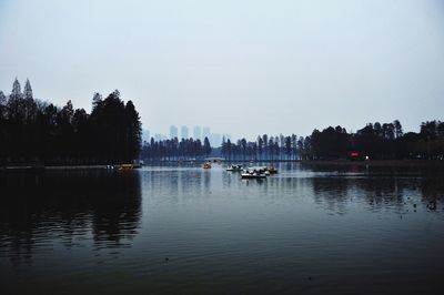 Reflection of trees in calm lake