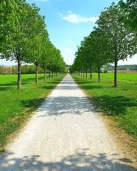 Empty road amidst trees against sky