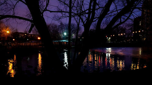 Reflection of bare trees in water at night