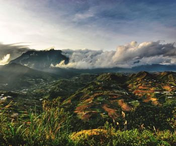 Scenic view of landscape against sky