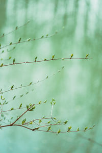 Low angle view of barbed wire against sky