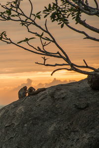 Silhouette rocks on rock against sky during sunset