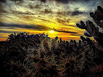 Scenic view of landscape against sky at sunset