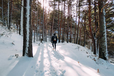 Man in snow covered forest