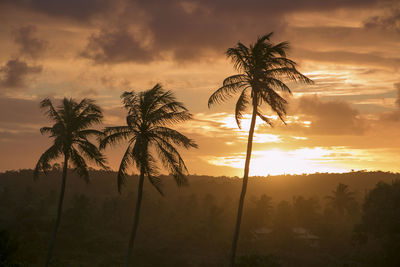 Silhouette palm trees against sky during sunset