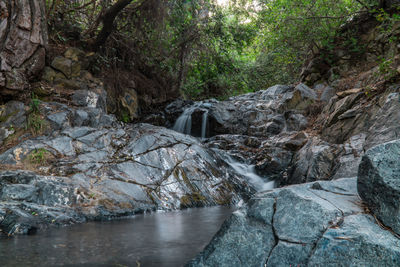 River flowing through rocks in forest