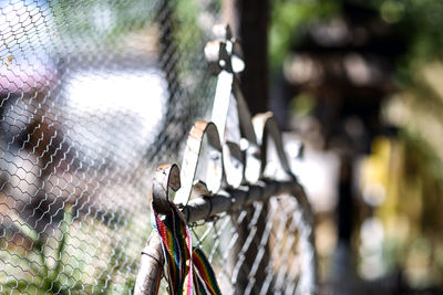 Close-up of laces hanging on metallic gate during sunny day