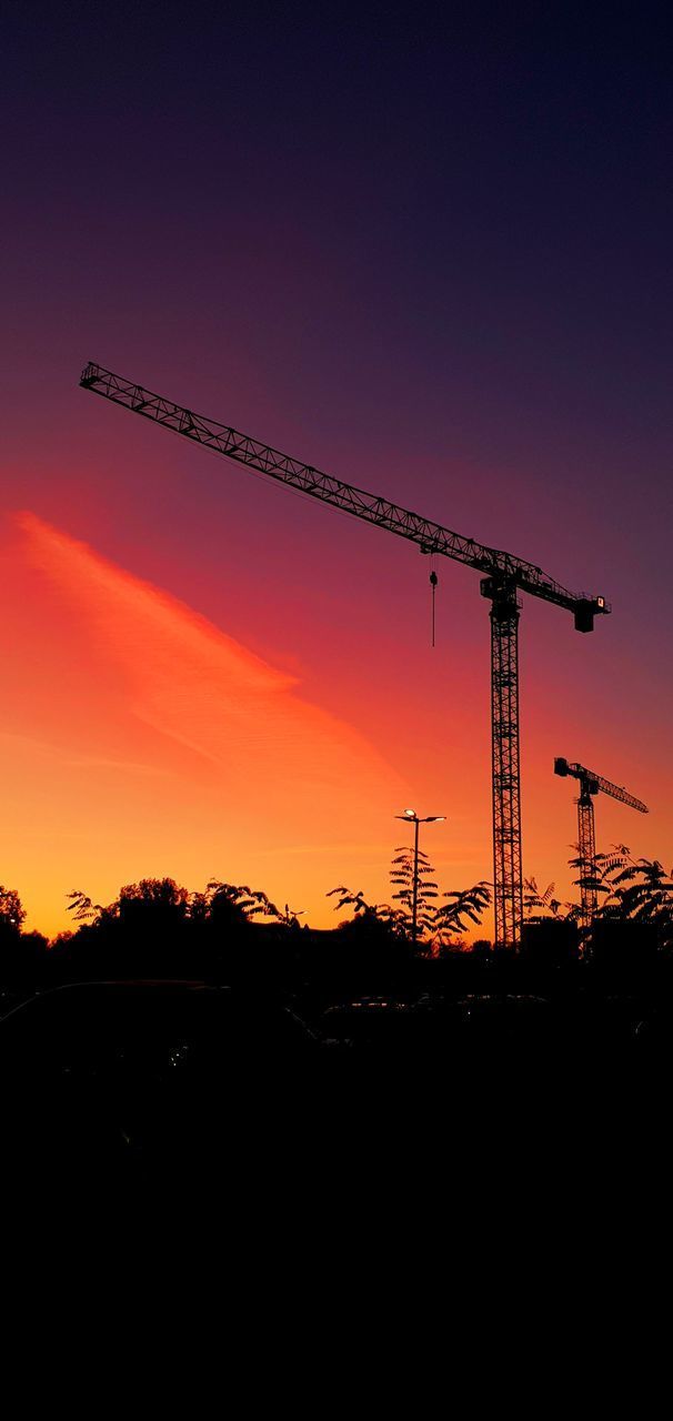 SILHOUETTE OF CRANES AT SUNSET