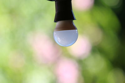 Close-up of raindrops on leaf