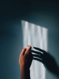 Close-up of hand holding leaf against wall