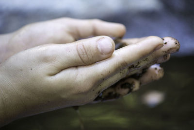 Cropped image of dirty hands outdoors