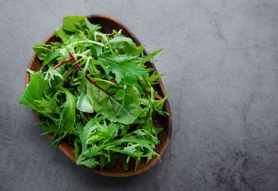 Mix of fresh green salad leaves with arugula and beets in plate on dark concrete background. 