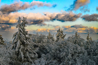 Scenic view of snow covered land against sky