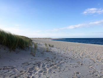 View of calm beach against blue sky