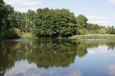 Scenic view of lake by trees against sky