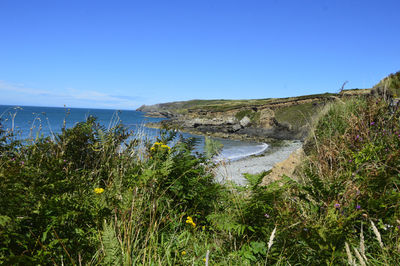 Scenic view of sea against clear blue sky