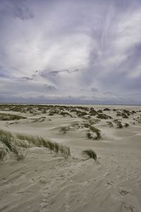 Scenic view of desert against sky