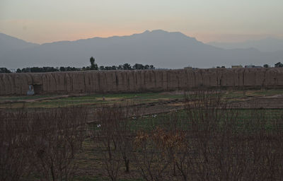 Scenic view of agricultural field against sky during sunset