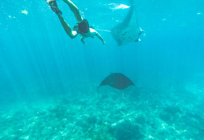 Shirtless man swimming in sea