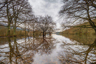 Reflection of bare trees in lake against sky