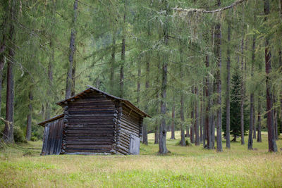 Wooden log cabin amidst trees in forest