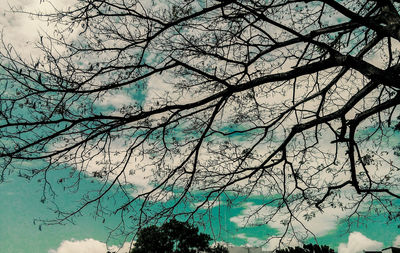 Low angle view of bare tree against sky