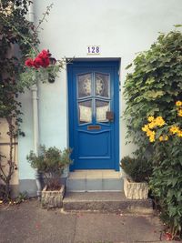 Potted plants outside building