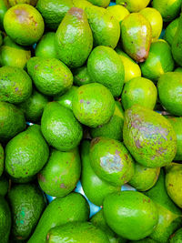 Fresh fruit from market store - avocado mango