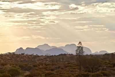 Australian outback as the last rays of the sunset fall on the desert and a distant rocky outcrop. 