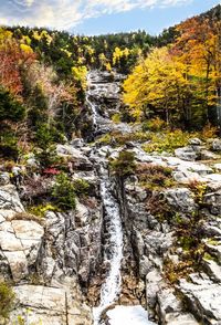 Scenic view of waterfall in forest against sky