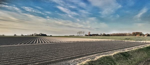 Scenic view of field against sky