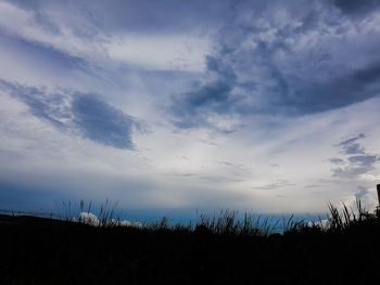 Low angle view of silhouette plants on land against sky