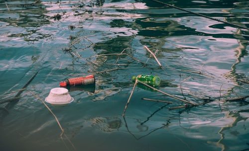 High angle view of floating on water