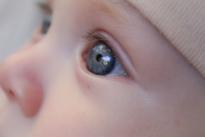 Close-up portrait of boy